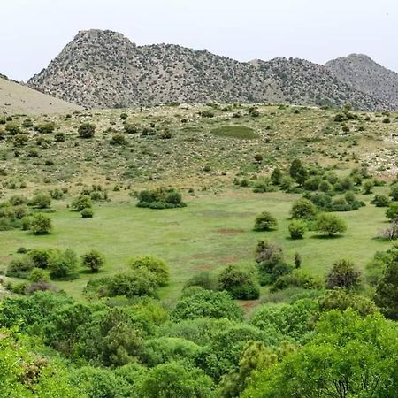 منزل الضيف Bélmez de la Moraleda  في Casa Rural Casa Gonzalo المظهر الخارجي الصورة