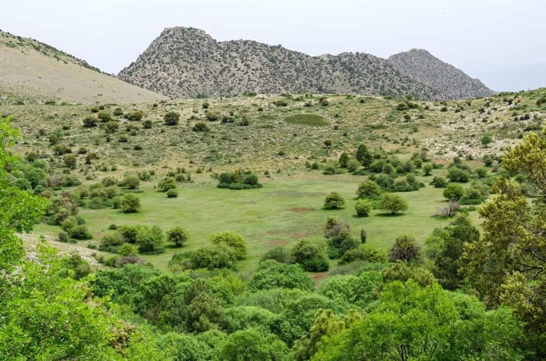 منزل الضيف Bélmez de la Moraleda  في Casa Rural Casa Gonzalo المظهر الخارجي الصورة