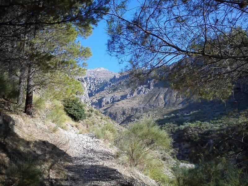 منزل الضيف Bélmez de la Moraleda  في Casa Rural Casa Gonzalo المظهر الخارجي الصورة