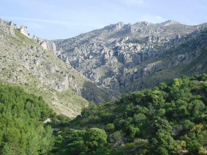 منزل الضيف Bélmez de la Moraleda  في Casa Rural Casa Gonzalo المظهر الخارجي الصورة